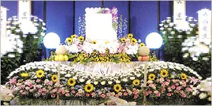 ファミリープランイメージ