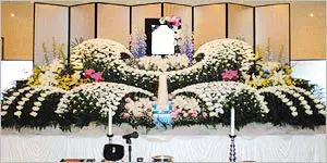 スタンダードプランイメージ