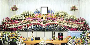スタンダードデラックスイメージ